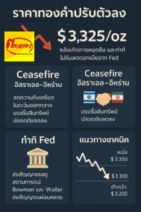 แนวโน้มราคา & ภาพรวมตลาด